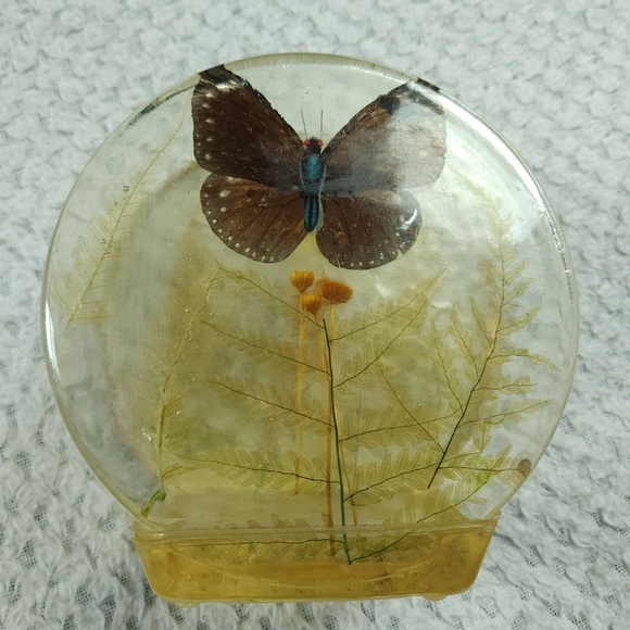 Vintage 70s Lucite Butterfly & Dried Plants Napkin Mail Paper Holder - Picture 3 of 8